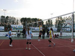 IMG 7597